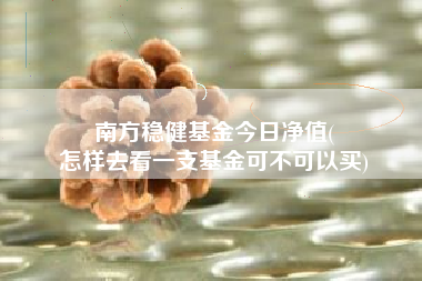 南方稳健基金今日净值(
怎样去看一支基金可不可以买)