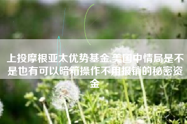 详细阅读:上投摩根亚太优势基金,美国中情局是不是也有可以暗箱操作不用报销的秘密资金 上投摩根亚太优势基金,美国中情局是不是也有可以暗箱操作不用报销的秘密资金