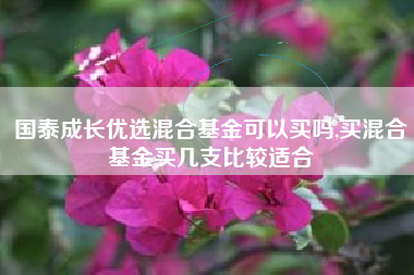 国泰成长优选混合基金可以买吗,买混合基金买几支比较适合