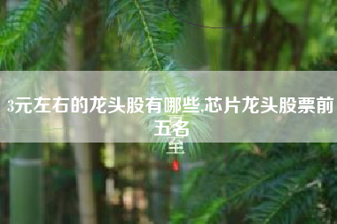 3元左右的龙头股有哪些,芯片龙头股票前五名
