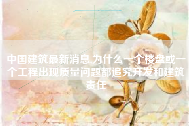 中国建筑最新消息,为什么一个楼盘或一个工程出现质量问题都追究开发和建筑责任