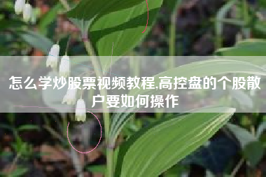 怎么学炒股票视频教程,高控盘的个股散户要如何操作