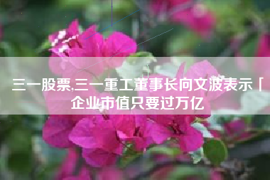 三一股票,三一重工董事长向文波表示「企业市值只要过万亿