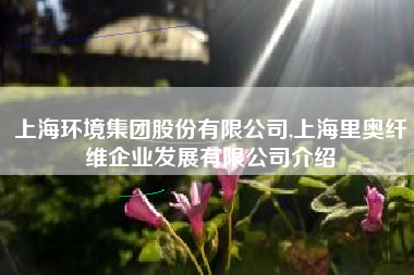 上海环境集团股份有限公司,上海里奥纤维企业发展有限公司介绍