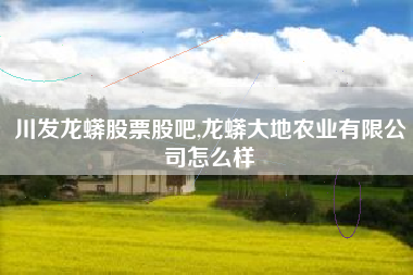 川发龙蟒股票股吧,龙蟒大地农业有限公司怎么样