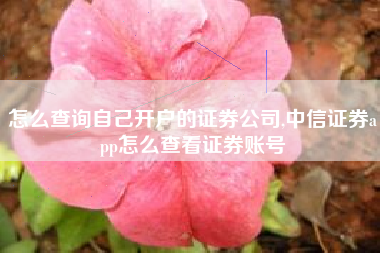 怎么查询自己开户的证券公司,中信证券app怎么查看证券账号