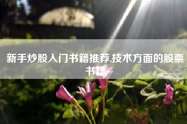 新手炒股入门书籍推荐,技术方面的股票书籍