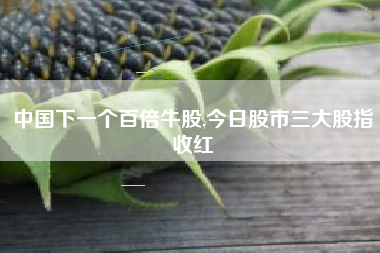 中国下一个百倍牛股,今日股市三大股指收红
