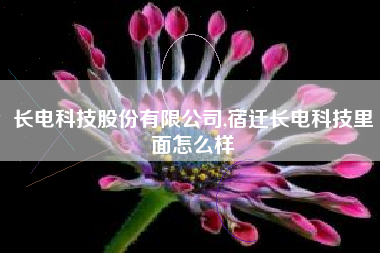 长电科技股份有限公司,宿迁长电科技里面怎么样