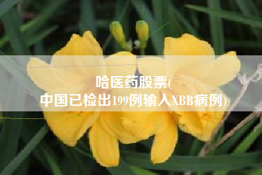 哈医药股票(
中国已检出199例输入XBB病例)
