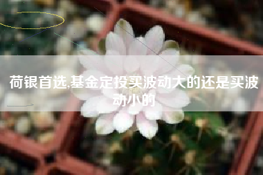 荷银首选,基金定投买波动大的还是买波动小的