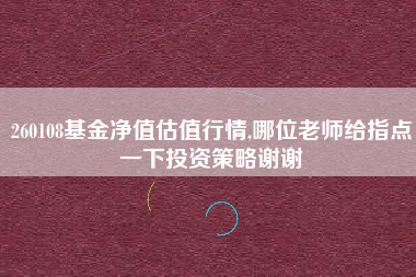 260108基金净值估值行情,哪位老师给指点一下投资策略谢谢