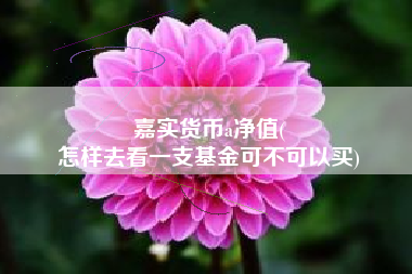 嘉实货币a净值(
怎样去看一支基金可不可以买)