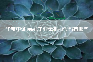 华宝中证100etf,工业母机etf代码有哪些