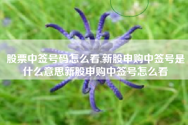 股票中签号码怎么看,新股申购中签号是什么意思新股申购中签号怎么看