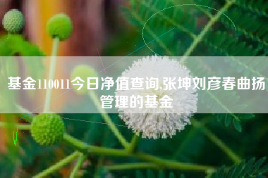 基金110011今日净值查询,张坤刘彦春曲扬管理的基金