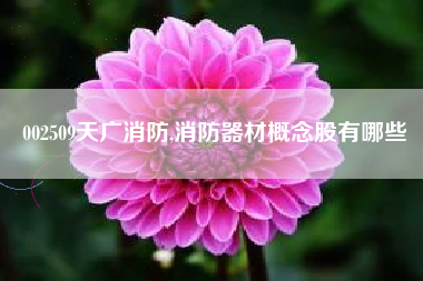 002509天广消防,消防器材概念股有哪些