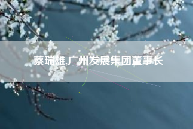 蔡瑞雄,广州发展集团董事长