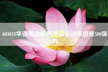 603018华设集团股吧,华设设计集团是500强吗