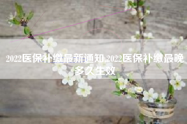 2022医保补缴最新通知,2022医保补缴最晚多久生效