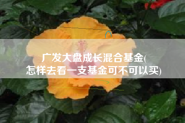 广发大盘成长混合基金(
怎样去看一支基金可不可以买) 广发大盘成长混合基金(
怎样去看一支基金可不可以买)