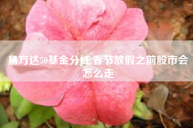 详细阅读:易方达50基金分红,春节放假之前股市会怎么走 易方达50基金分红,春节放假之前股市会怎么走