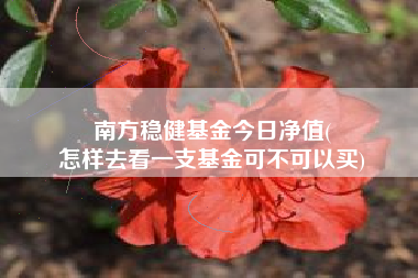 南方稳健基金今日净值(
怎样去看一支基金可不可以买)