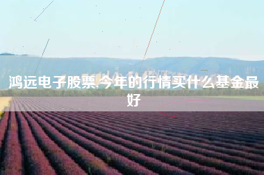 详细阅读:鸿远电子股票,今年的行情买什么基金最好 鸿远电子股票,今年的行情买什么基金最好