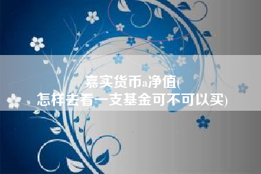 嘉实货币a净值(
怎样去看一支基金可不可以买)