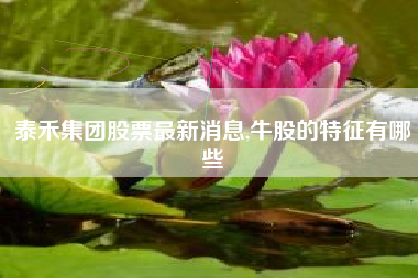 泰禾集团股票最新消息,牛股的特征有哪些
