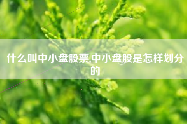 什么叫中小盘股票,中小盘股是怎样划分的