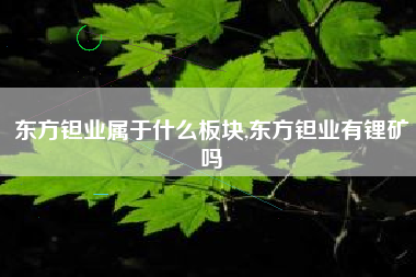 东方钽业属于什么板块,东方钽业有锂矿吗