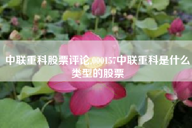 中联重科股票评论,000157中联重科是什么类型的股票
