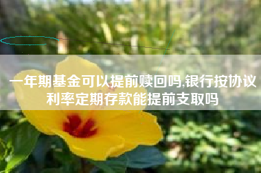 一年期基金可以提前赎回吗,银行按协议利率定期存款能提前支取吗