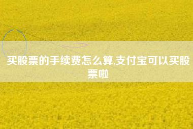 买股票的手续费怎么算,支付宝可以买股票啦