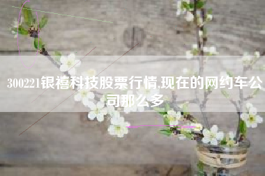 300221银禧科技股票行情,现在的网约车公司那么多