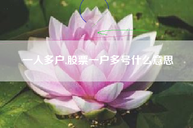 一人多户,股票一户多号什么意思