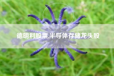 德明利股票,半导体存储龙头股