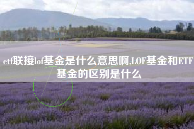 etf联接lof基金是什么意思啊,LOF基金和ETF基金的区别是什么