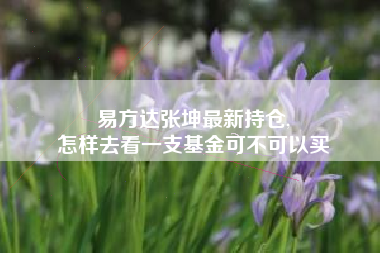 易方达张坤最新持仓,
怎样去看一支基金可不可以买