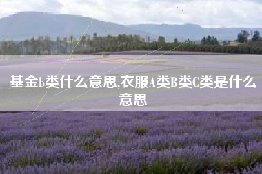 基金b类什么意思,衣服A类B类C类是什么意思