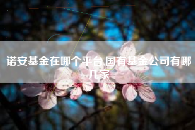 诺安基金在哪个平台,国有基金公司有哪几家