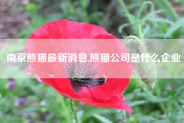 南京熊猫最新消息,熊猫公司是什么企业