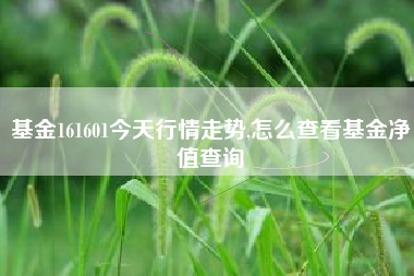 基金161601今天行情走势,怎么查看基金净值查询