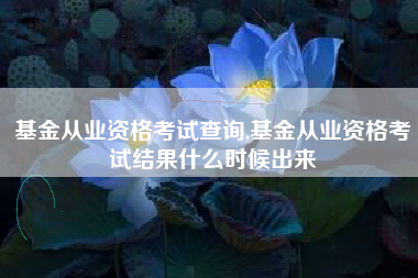 基金从业资格考试查询,基金从业资格考试结果什么时候出来