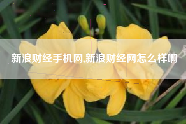 新浪财经手机网,新浪财经网怎么样啊