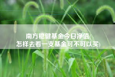 南方稳健基金今日净值(
怎样去看一支基金可不可以买)