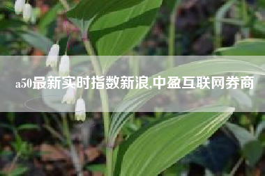 a50最新实时指数新浪,中盈互联网券商