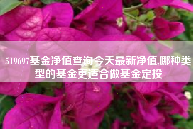 519697基金净值查询今天最新净值,哪种类型的基金更适合做基金定投