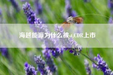 海越能源为什么被st,CDR上市